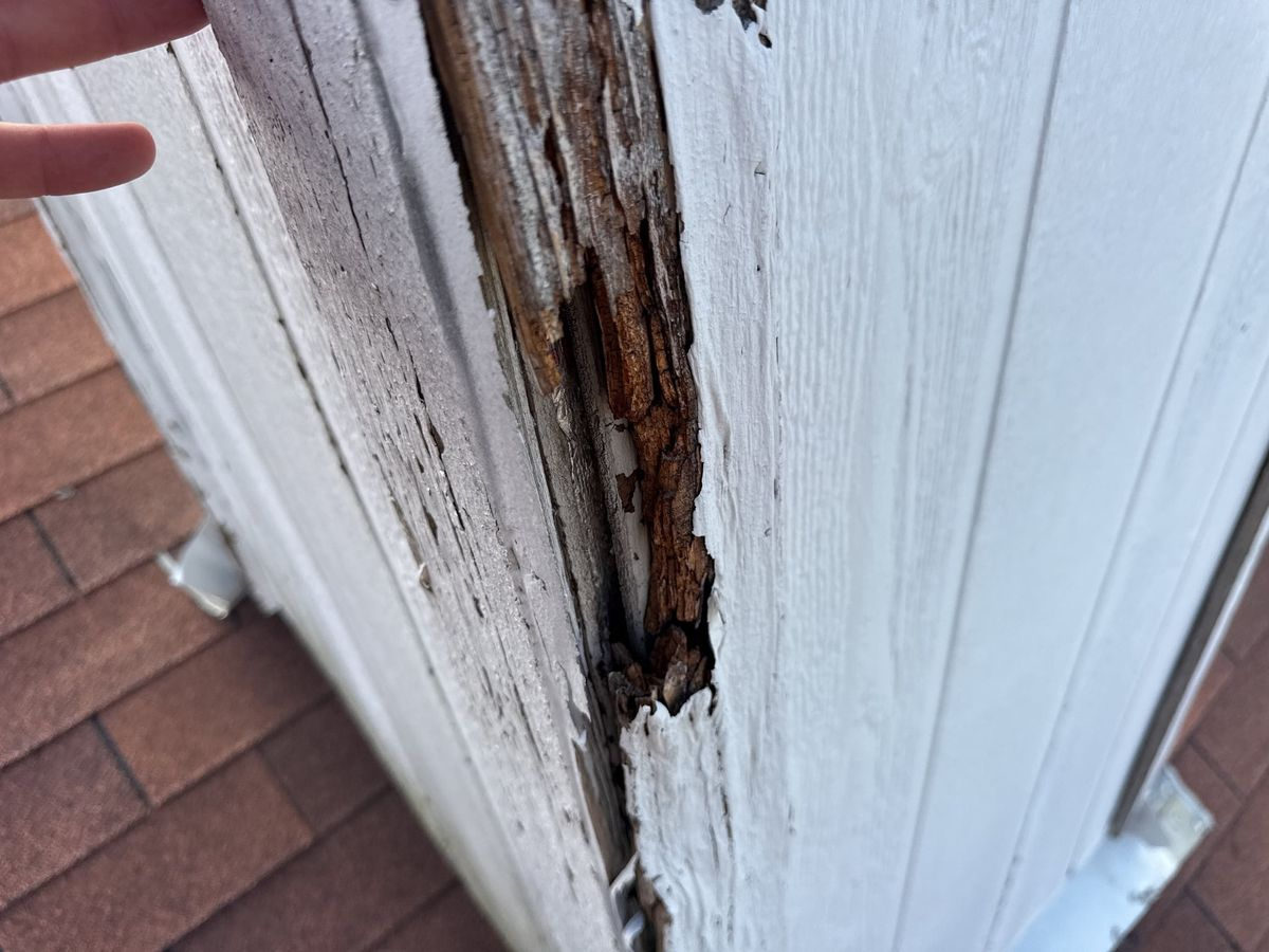 Field photograph of hail damage in Allen, TX