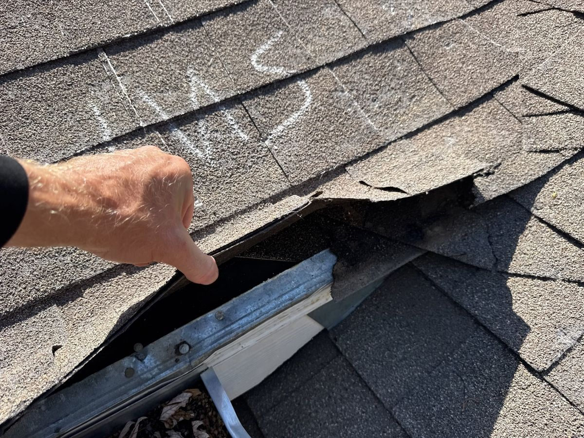 Field photograph of hail damage in TX, TX