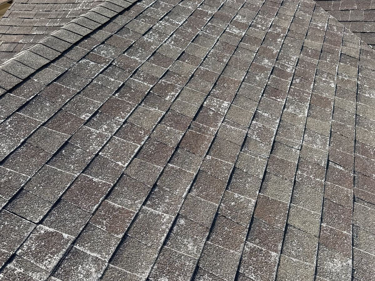 Field photograph of hail damage in Dallas, TX